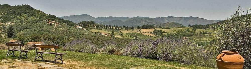 Mastiano Suite Accommodation מראה חיצוני תמונה